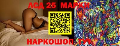 крисы Абакан