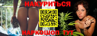 крисы Абакан