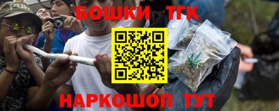 крисы Абакан