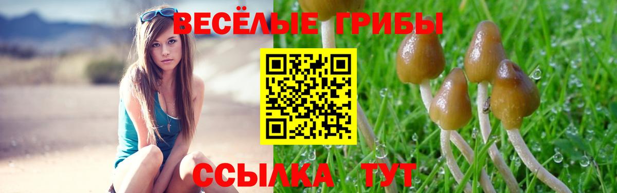 Псилоцибиновые грибы MAGIC MUSHROOMS Александров