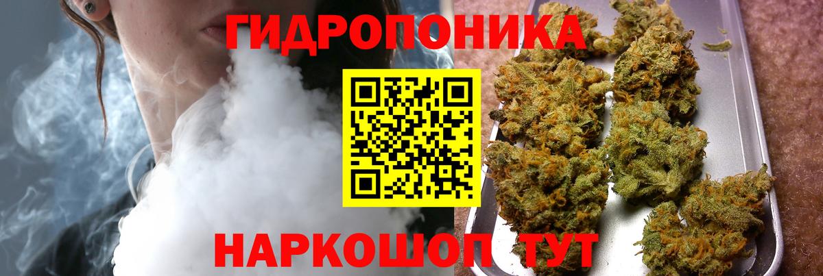 Бошки марихуана OG Kush  Бошки марихуана план  Вход с VPN  Александров  Каннабис OG Kush 